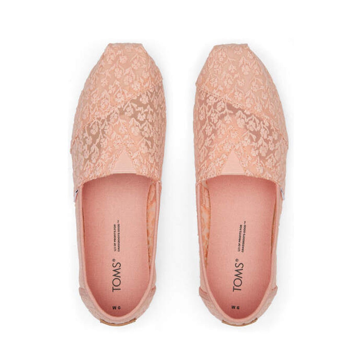 Toms lace on sale